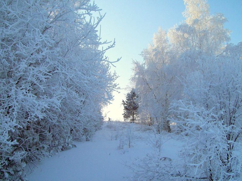 Снег Усолье-Сибирское