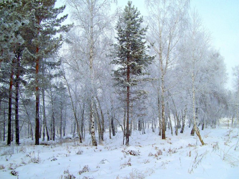 Иркутск обзорная экскурсия зима