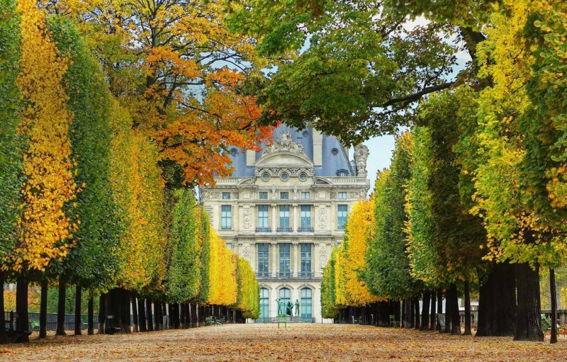 Сад Тюильри осень в Париже Франция