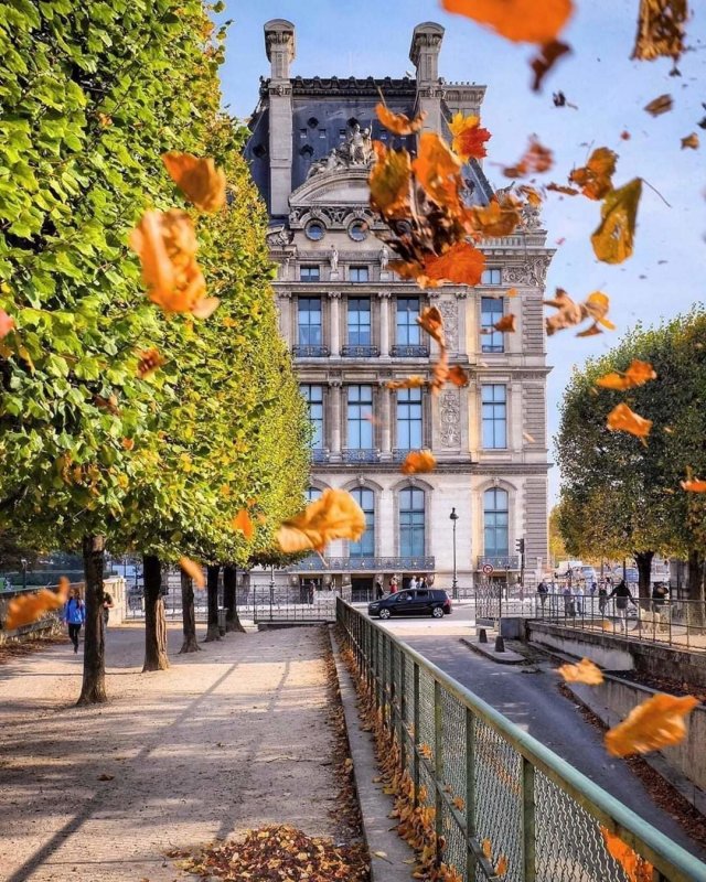 Осенний Тюильри Франция