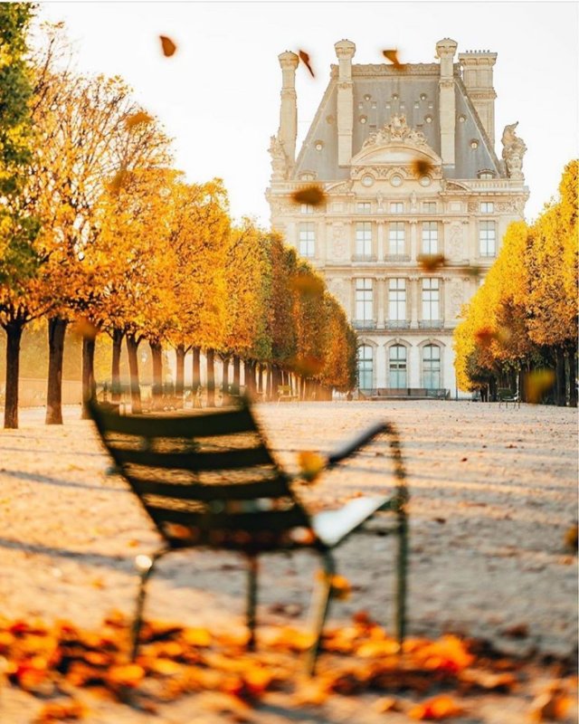 Люксембургский сад в Париже фото осенью