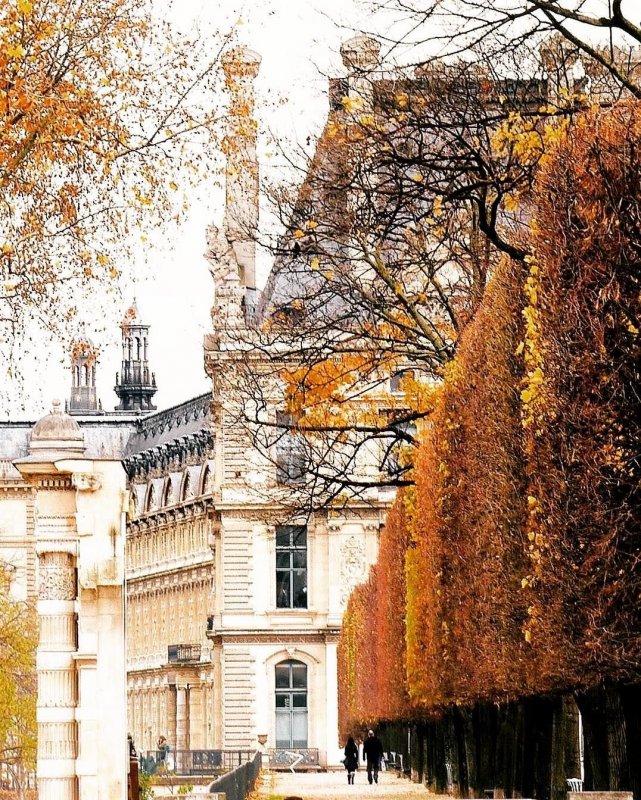 Париж Люксембургский сад осень
