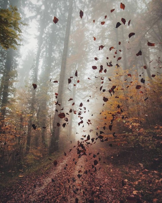 Осенняя хандра