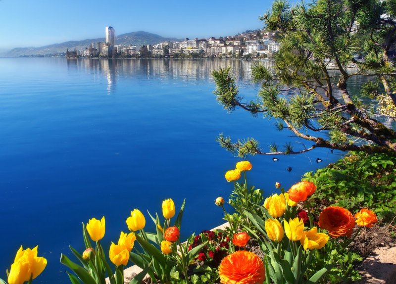 Весна Женевское озеро Монтре