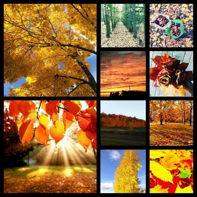 Фотоколлаж на тему осень