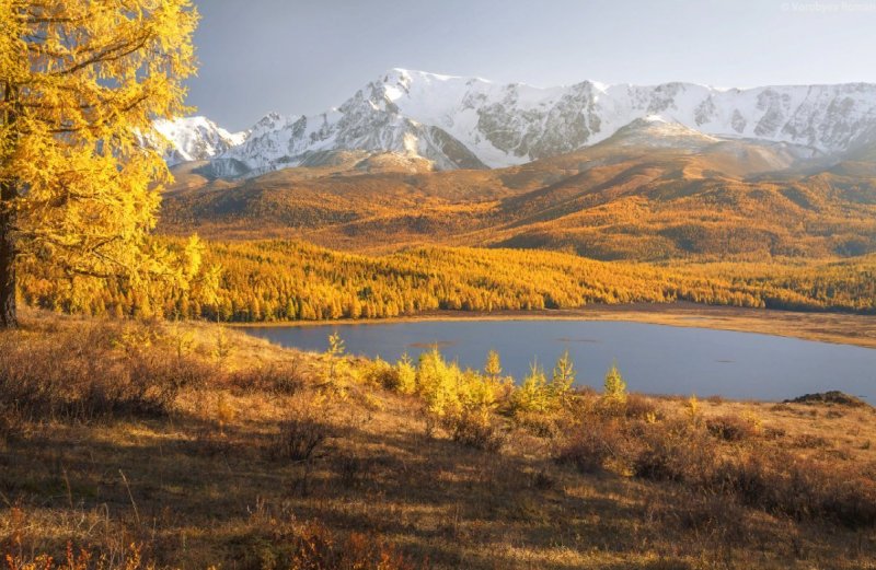 Телецкое озеро Алтай осень
