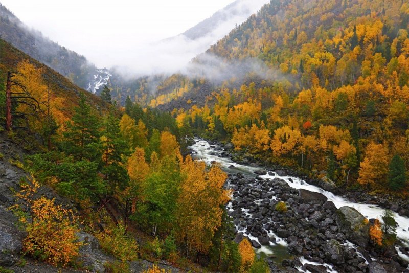 Чемал горный Алтай осень