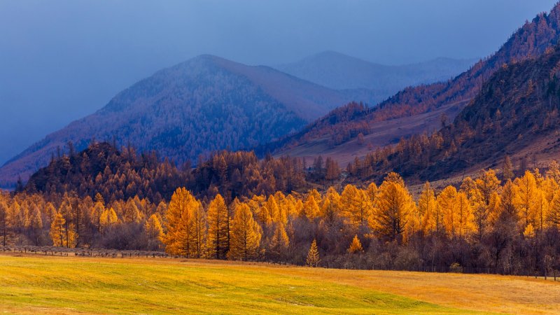Перевал Кату-Ярык горный Алтай осень