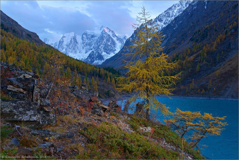 Природа горного Алтая осень