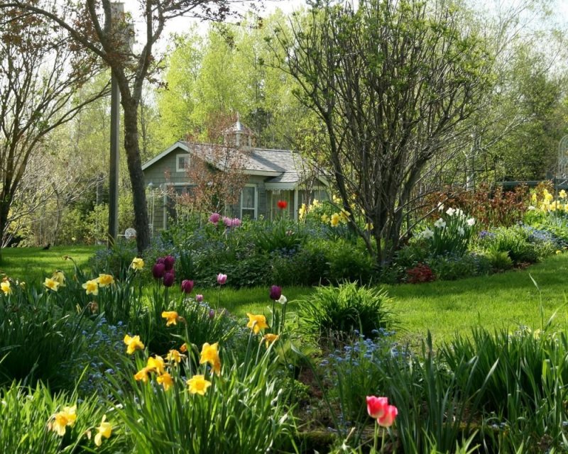 Домик в весеннем саду