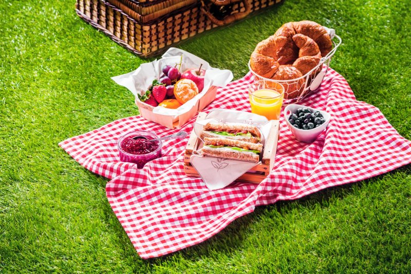 Международный день пикника