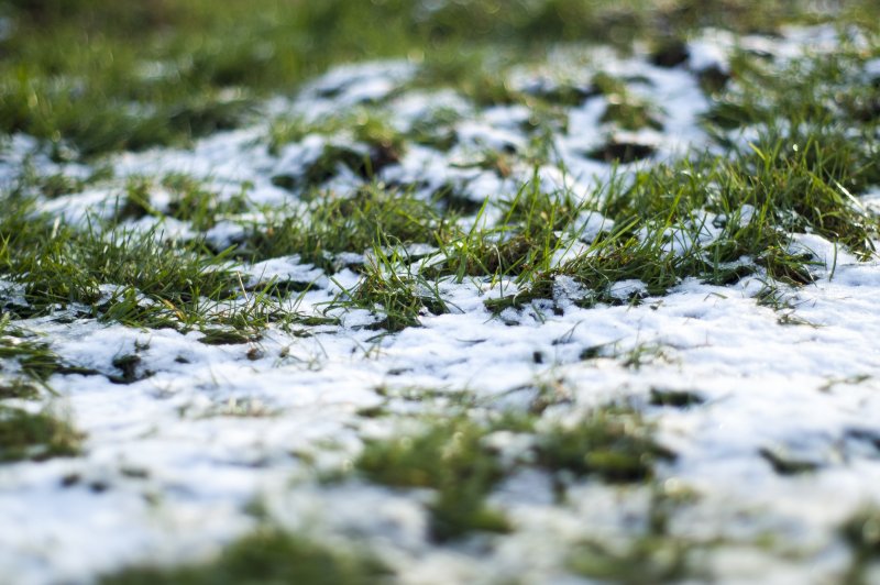 Снег на траве