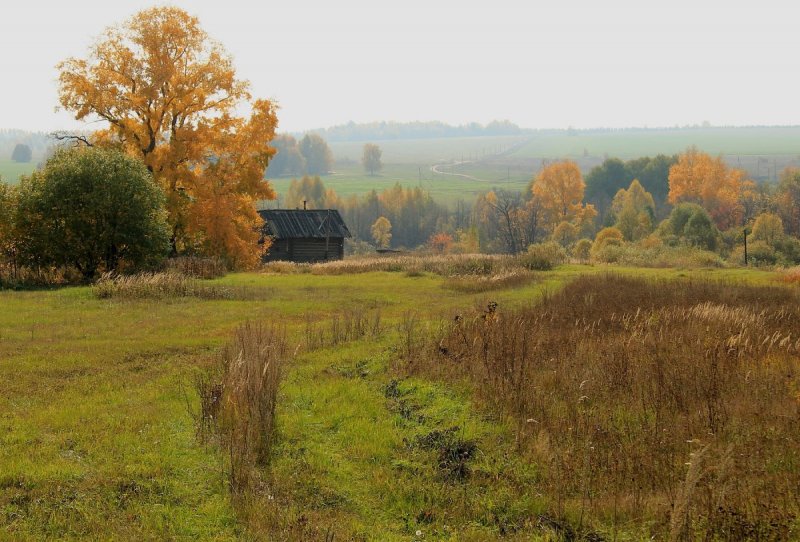 Смоленская деревня осень