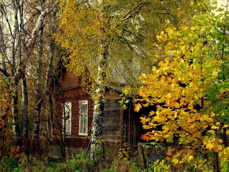 Деревня Есенина осень
