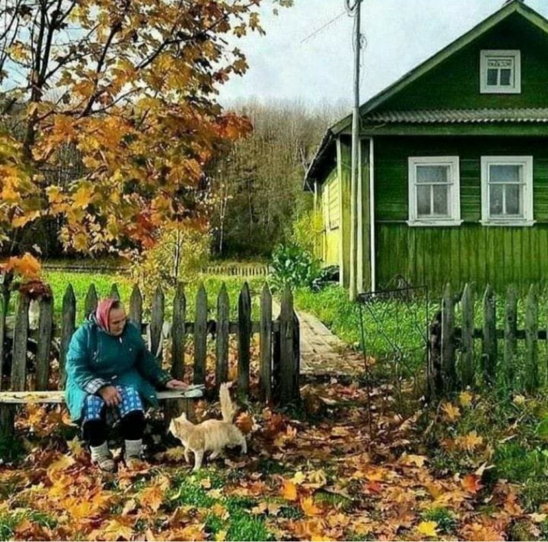 Дом в деревне осенью