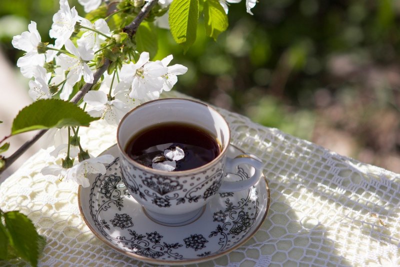 Чашка чая на природе Весна