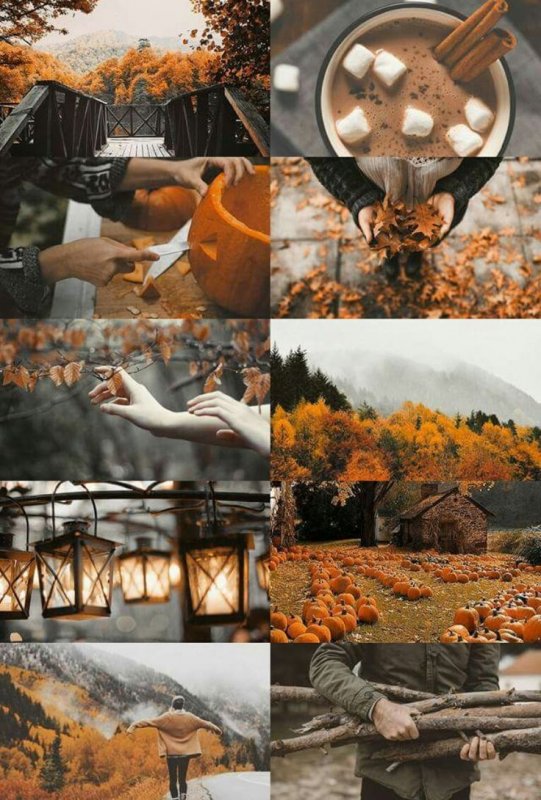 Осень Эстетика