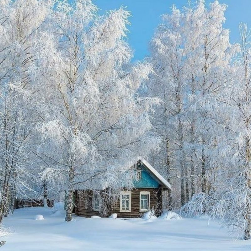 Величественные зимние пейзажи