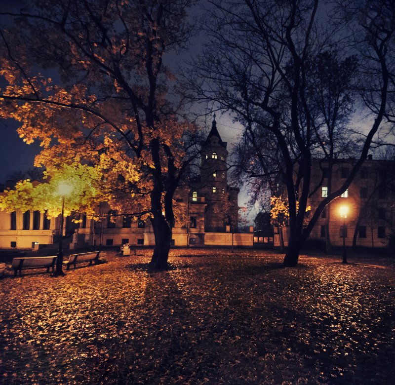 Осень вечер