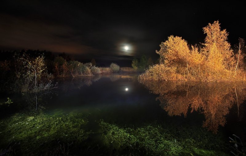 Ночь река осень