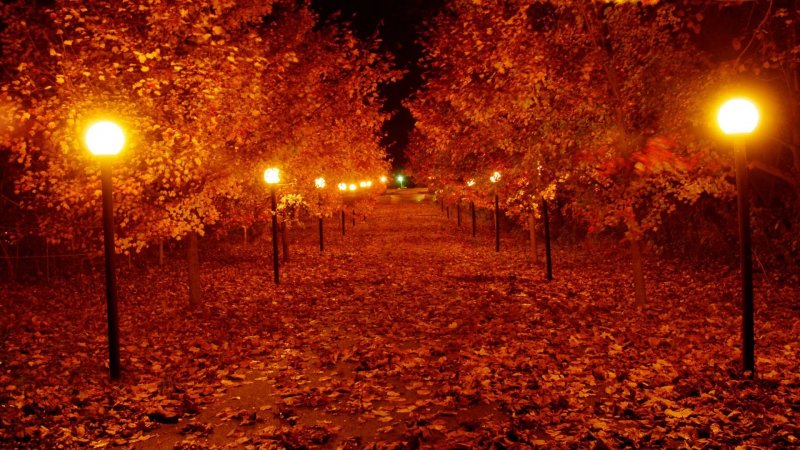 Осенний вечер