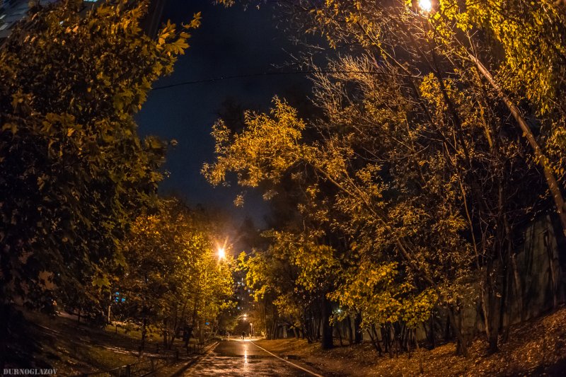 Осень ночь Москва