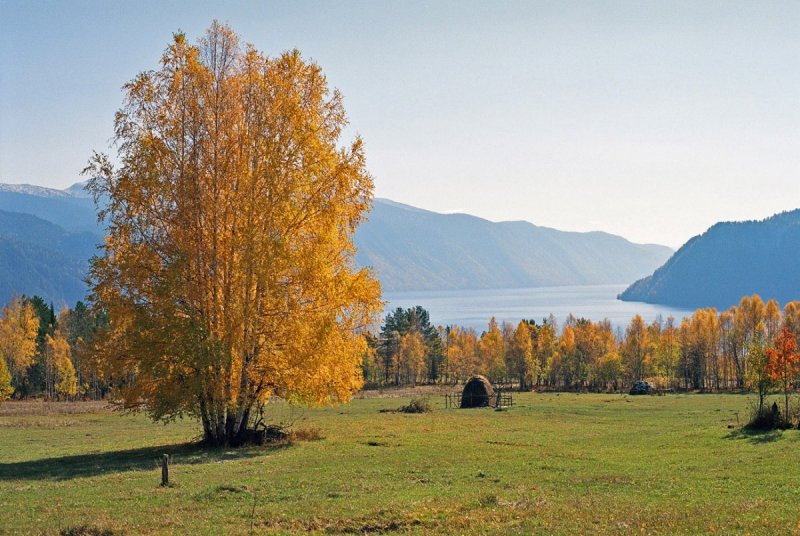 Природа Алтайского края осенью