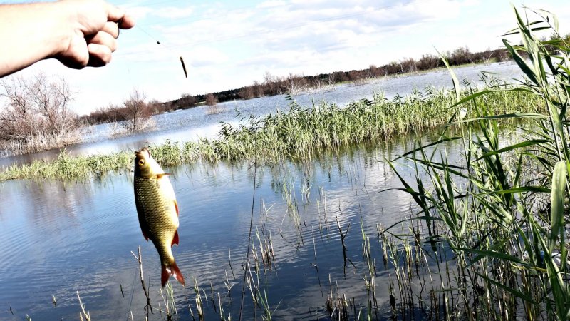 Рыбалка на речке