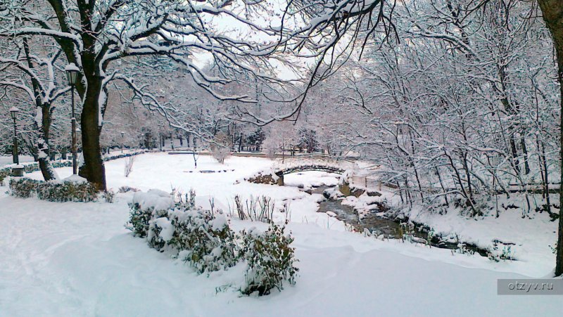 Кисловодск парк зима