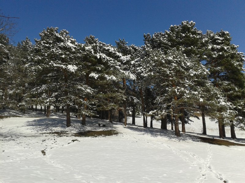 Национальный парк в Кисловодске зимой