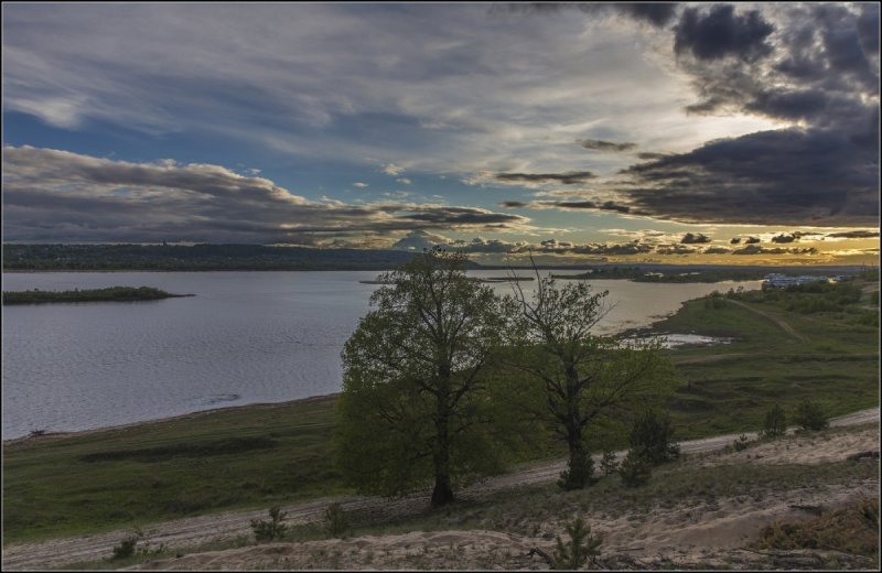 Река Волга природа береза
