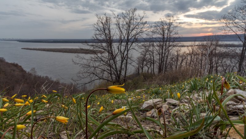 Волга весной