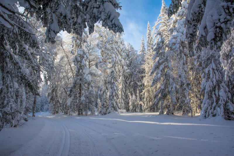 Сказочная зима фото панорама