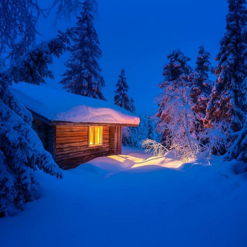 Дом в Снежном лесу