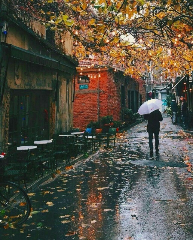 Дождливая осень