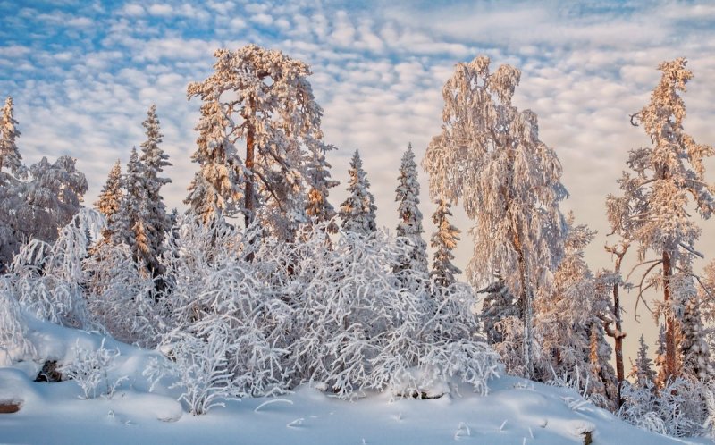 Зимняя деревушка в Швейцарии
