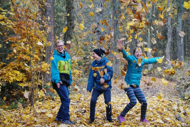 Поход школьников в осенний лес