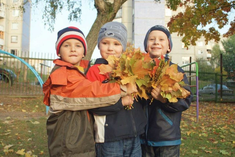 Осенние каникулы в Ростовской области