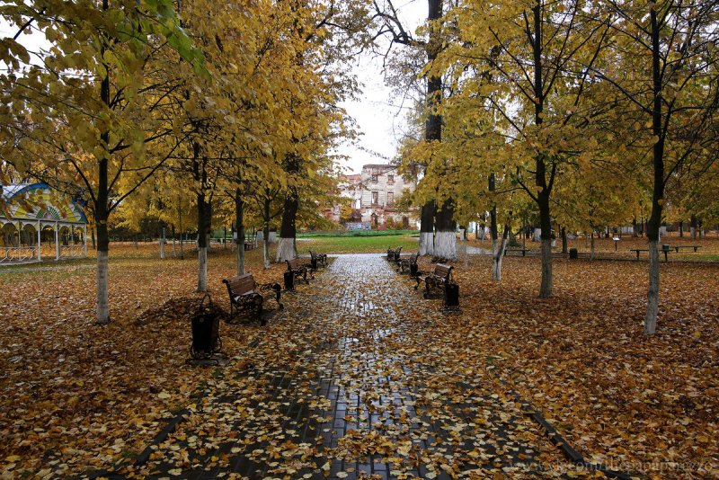 Осенний дождь в парке
