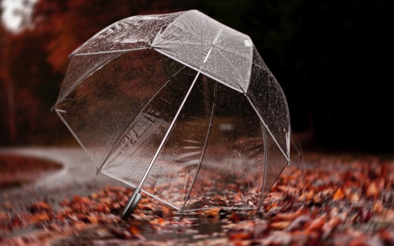 Осенний зонт
