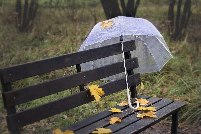 Осенний зонтик