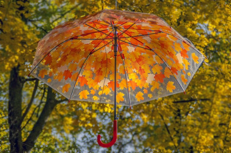 Красивый осенний зонтик