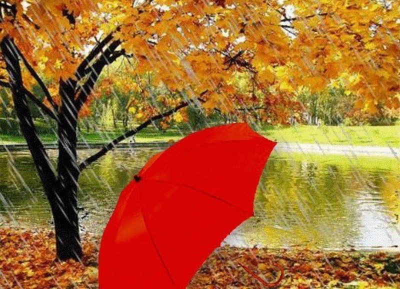 Осенняя фотосессия с зонтом