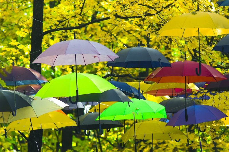 Зонт из осенних листьев