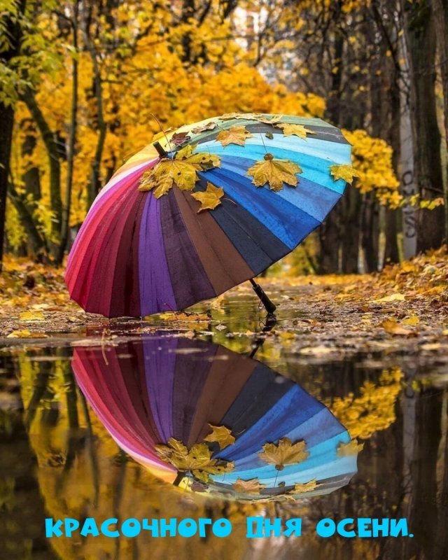 Осень дети под зонтом