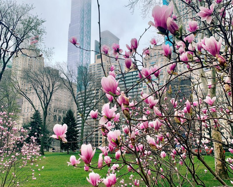 Весна в Нью-Йорке