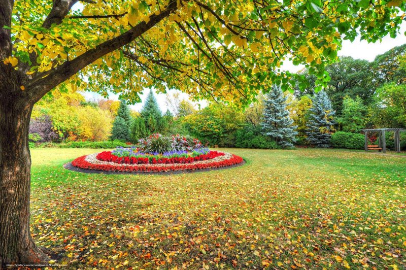 Осень в парках и садах