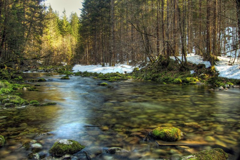 Весна природа река