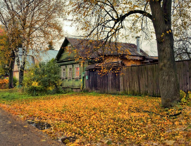 Осенний пейзаж Тульская деревня
