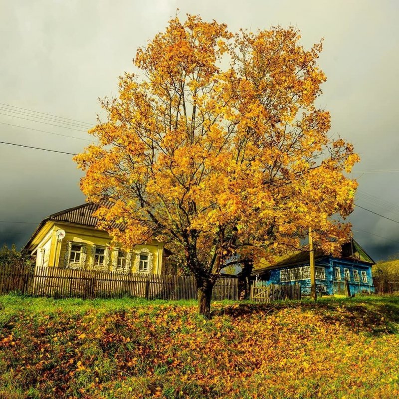 «Осень в деревне», Игорь Виеру